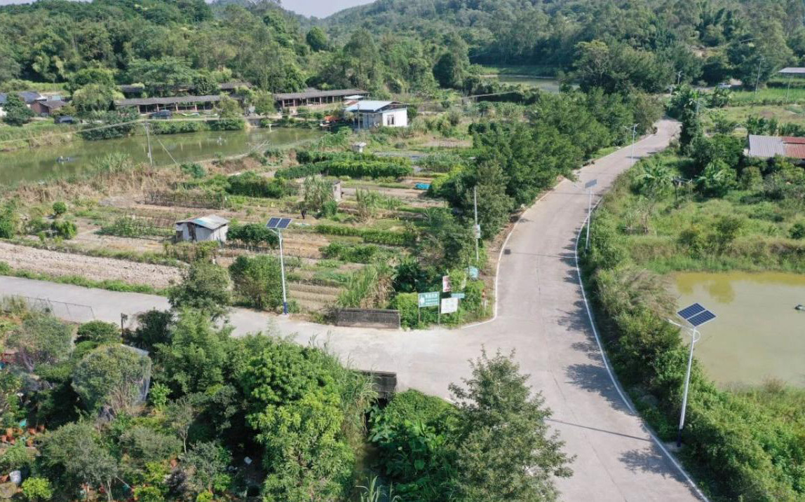 廣東江門(mén)鶴山市雅瑤鎮(zhèn)實(shí)現(xiàn)道路亮化全覆蓋---豐朗光電